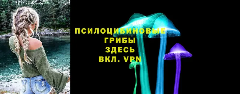 наркота  дарк нет клад  Псилоцибиновые грибы Psilocybe  Усолье-Сибирское 